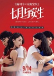 2018内地电影配额出炉《战狼2》《芳华》无缘台湾