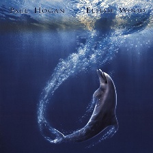 海豚的故事