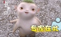 《捉妖記2》曝光“群星賣萌”特輯