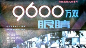 九千六百万双眼睛