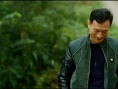 远亲