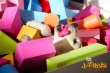电影《小狗奶瓶》定档2月2日 萌犬守约漫漫回家路