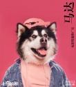 小狗奶瓶