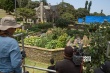 《比得兔》澳洲搭景 真實還原英倫夏季田園風光