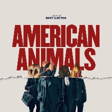 美国动物