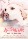 《小狗奶瓶》終極海報預(yù)告雙發(fā) 成