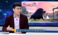 《公牛历险记》情感共鸣 无法阻挡一颗回家的心