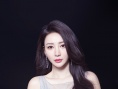 柳岩鱼尾银裙惊艳红毯 获颁“年度突破女演员”