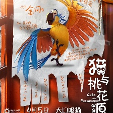 貓與桃花源