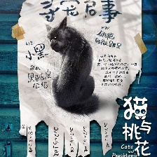 貓與桃花源