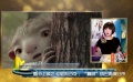春节档影片抢先看 《红海行动》巨资打造震撼效果