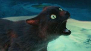 陈凯歌《妖猫传》入围华表奖 原来黑猫才是真正的男主！！！