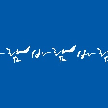 風(fēng)風(fēng)風(fēng)