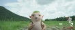 《捉妖记2》票房破19亿 亲子观影场引爆
