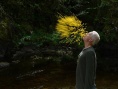 Leaning Into the Wind: Andy Goldsworthy