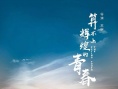 算不上辉煌的青春