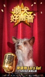 萌犬好声音