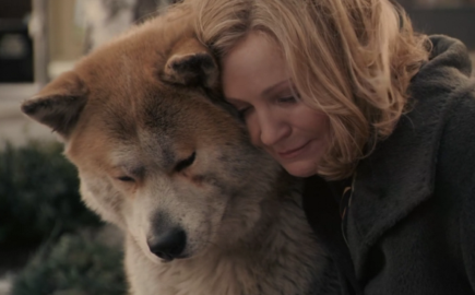 《忠犬八公的故事》上映8周年 无论看多少遍都会让人泪奔！