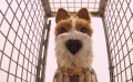 《犬之島》發(fā)布3支電視預(yù)告