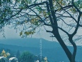 寿城池