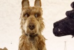 今年二月份，电影《犬之岛》作为柏林国际电影节开幕影片首映，在电影节上大放异彩。导演韦斯·安德森也凭借该片在2月25日结束的颁奖典礼中荣获最佳导演奖。韦斯·安德森凭借着对每一部作品的精心制作，早已成为了当今影坛最受关注的导演之一，由他早期执导的《特伦鲍姆一家》就获得奥斯卡最佳原创剧本奖提名，之后的《水中生活》和《穿越大吉岭》分别入围柏林国际电影节竞赛单元和威尼斯国际电影节竞赛单元，《了不起的狐狸爸爸》获得奥斯卡和金球奖最佳动画长片提名；另一部《布达佩斯大饭店》入围第87届奥斯卡金像奖最佳影片、最佳导演等九项大奖。