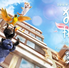 貓與桃花源