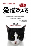 《愛貓之城》萌貓角色海報 異域風(fēng)情貓萌力來襲