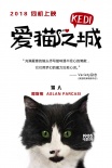 《愛貓之城》萌貓角色海報 異域風(fēng)情貓萌力來襲