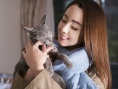 猫是要抱着的