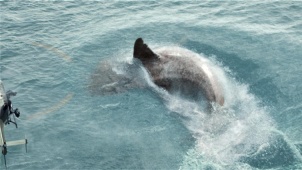 《巨齿鲨》“深海降临”版定档预告片
