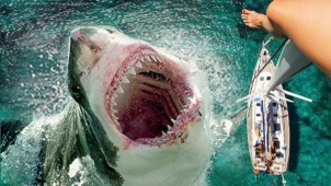 《巨齿鲨》曝光预告 超级鲨鱼现身海域