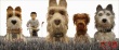 《犬之岛》曝原片片段 神秘包裹引发狗狗大战