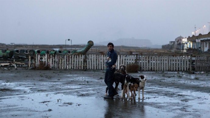 《犬舍惊魂》首曝预告