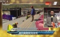 北京国际电影节光影盛事 记者实地探访先睹为快