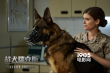 《战犬瑞克斯》将上映 美国女兵与军犬的生死情