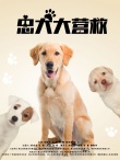 忠犬大營(yíng)救