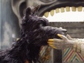 《犬之島》獲鐵桿影迷力挺 五一繼續(xù)熱映不離不棄
