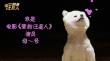 《营救汪星人》曝博美预告 双眼皮美瞳眼萌翻人