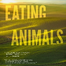 肉食者