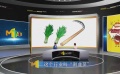 大眾慘遭“割韭菜” 影視眾籌、理財都是在做“接盤俠”？
