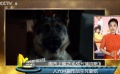 《我是你妈》爆笑催泪 《战犬瑞克斯》卖猛不卖萌