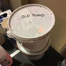 此房是我造