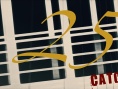 25