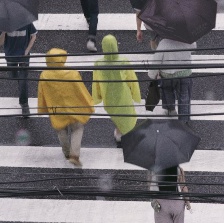 榴蓮榴蓮