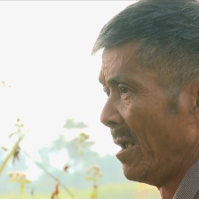 高十