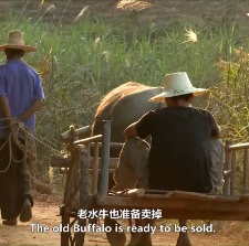 高十