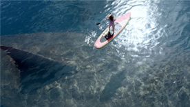 《巨齿鲨》“巨浪淘鲨”预告片