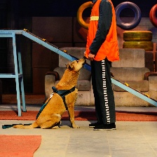 監(jiān)獄犬計(jì)劃