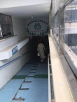 网友偶遇张歆艺医院做产检 袁弘全程悉心陪同