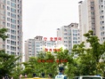 目擊者